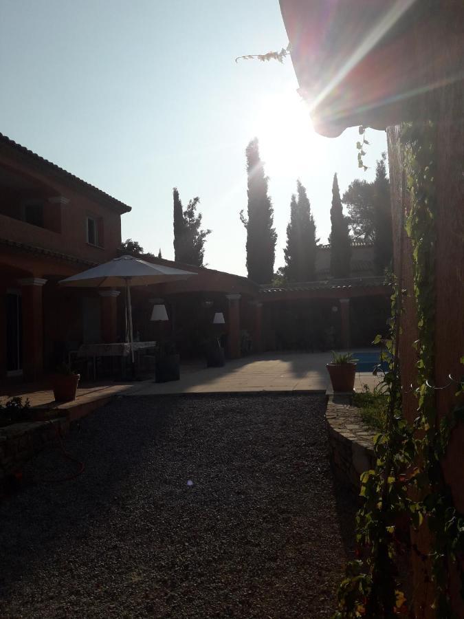 Villa Catharina Лорґ Екстер'єр фото